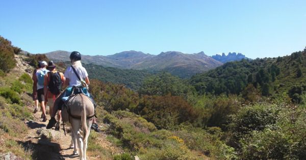 Alta Rocca à dos d'âne