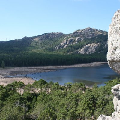 Foret de l'Ospedale