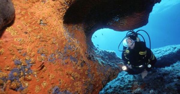 Plongée sous-marine Corse
